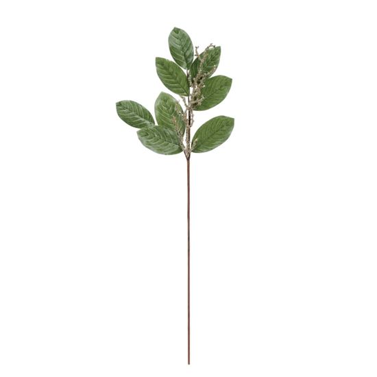 premier-sage-velvet-magnolia-leaf