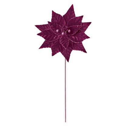premier-plum-velvet-poinsettia-wb