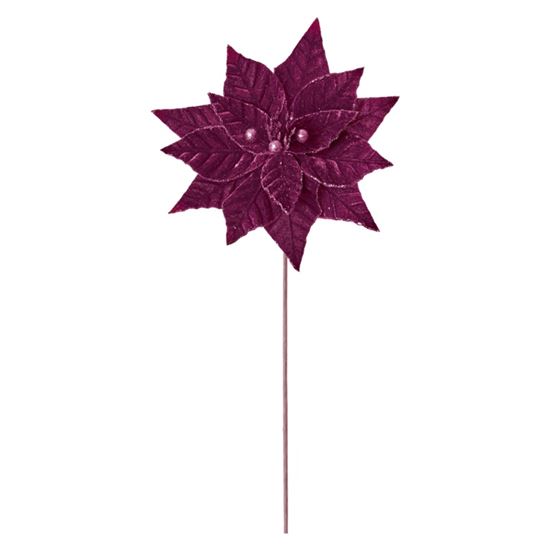 premier-plum-velvet-poinsettia-wb