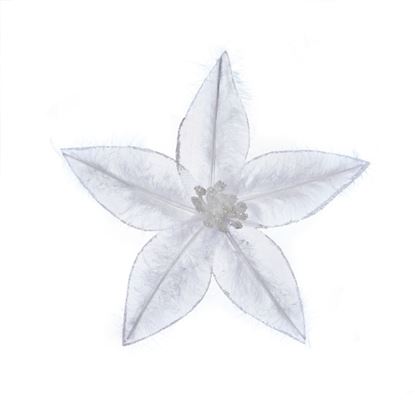 premier-white-sheer-poinsettia