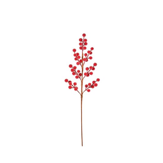 premier-frosted-berry-pick