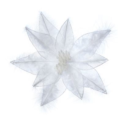 premier-white-sheer-poinsettia-with-feather