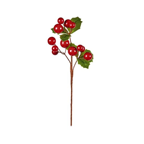 premier-cherry-pick