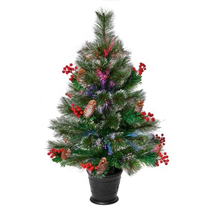 premier-snow-tipped-bottle-brush-tree