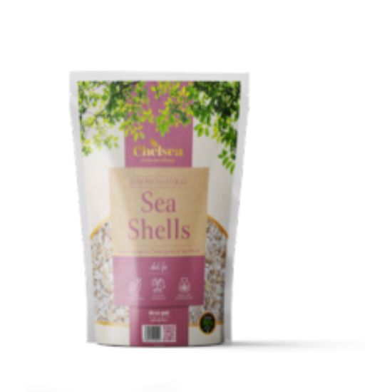 deco-pak-chelsea-horticultural-sea-shells