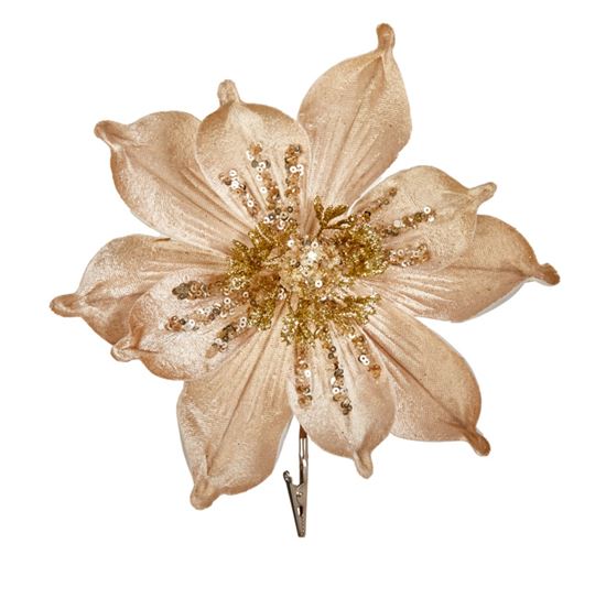 premier-champagne-gold-flower-on-clip