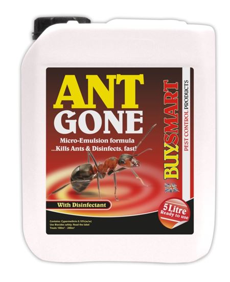 buysmart-ant-gone-ant-killer