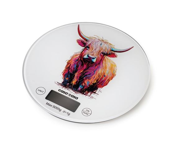 casa--casa-electronic-kitchen-scale