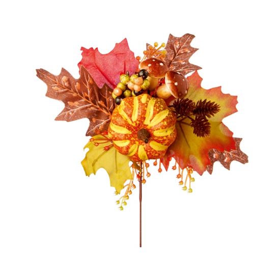 premier-pumpkin-pick