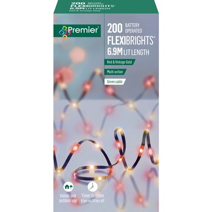 premier-battery-operated-multi-action-led-flexibrights