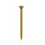 securpak-multi-purpose-screw